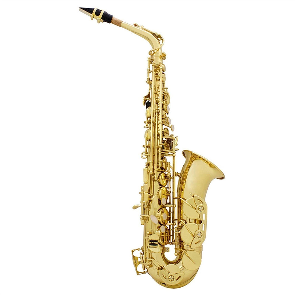 Golden E Flat Alto Saxophone Set X878