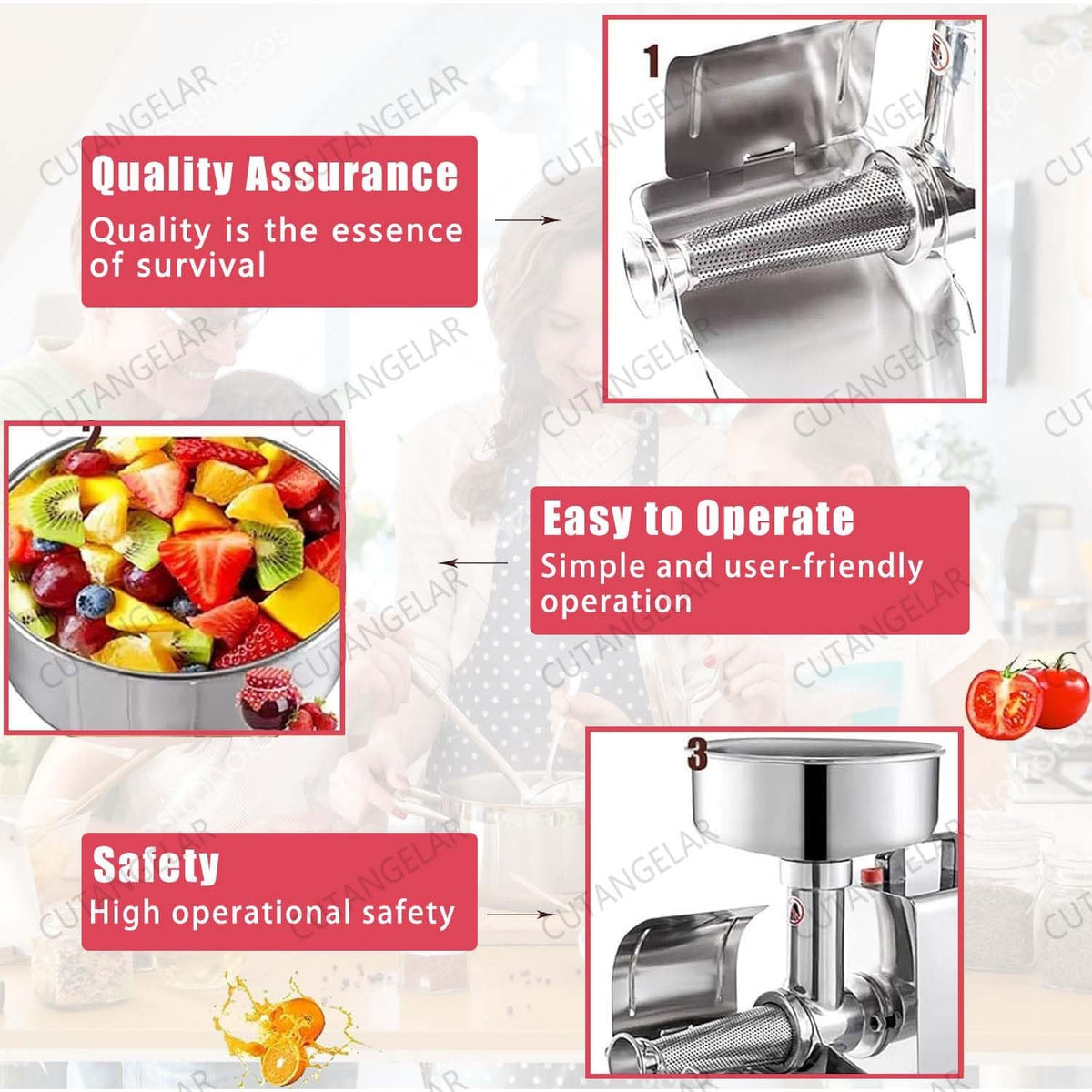 450W Stainless Steel Electric Juicer H79595