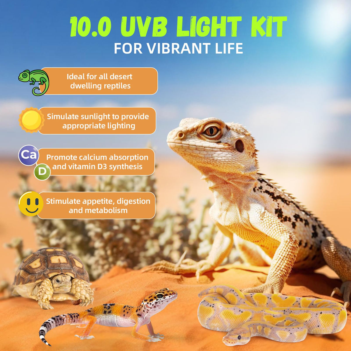 24W 10.0 T5 UVB Reptile Light Fixture Combo Kit 22inch Terrarium Hood X779