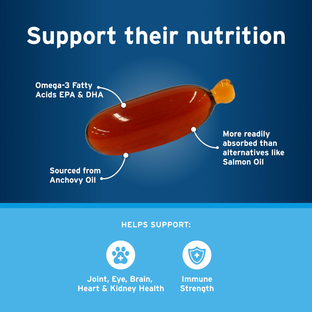Small Dog Flea and Tick Treatment 6-Mo Supply + Omega 3 Supplement 60 Capsules J99432