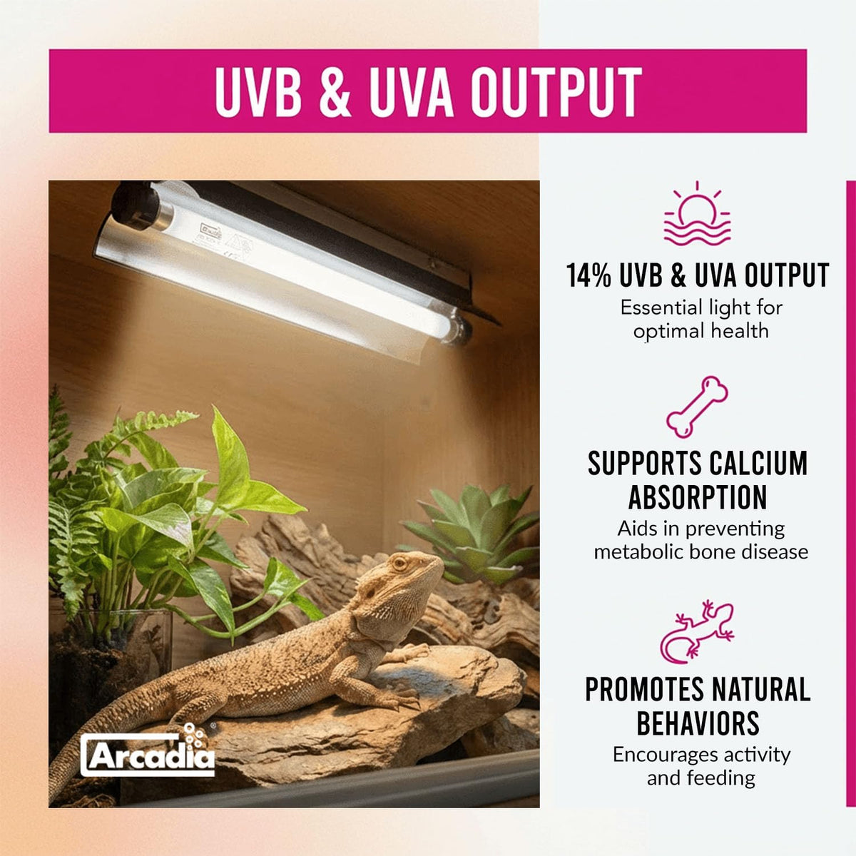 24" 24 Watts 14% UVB Reptile Light Fixture Kit Q193501