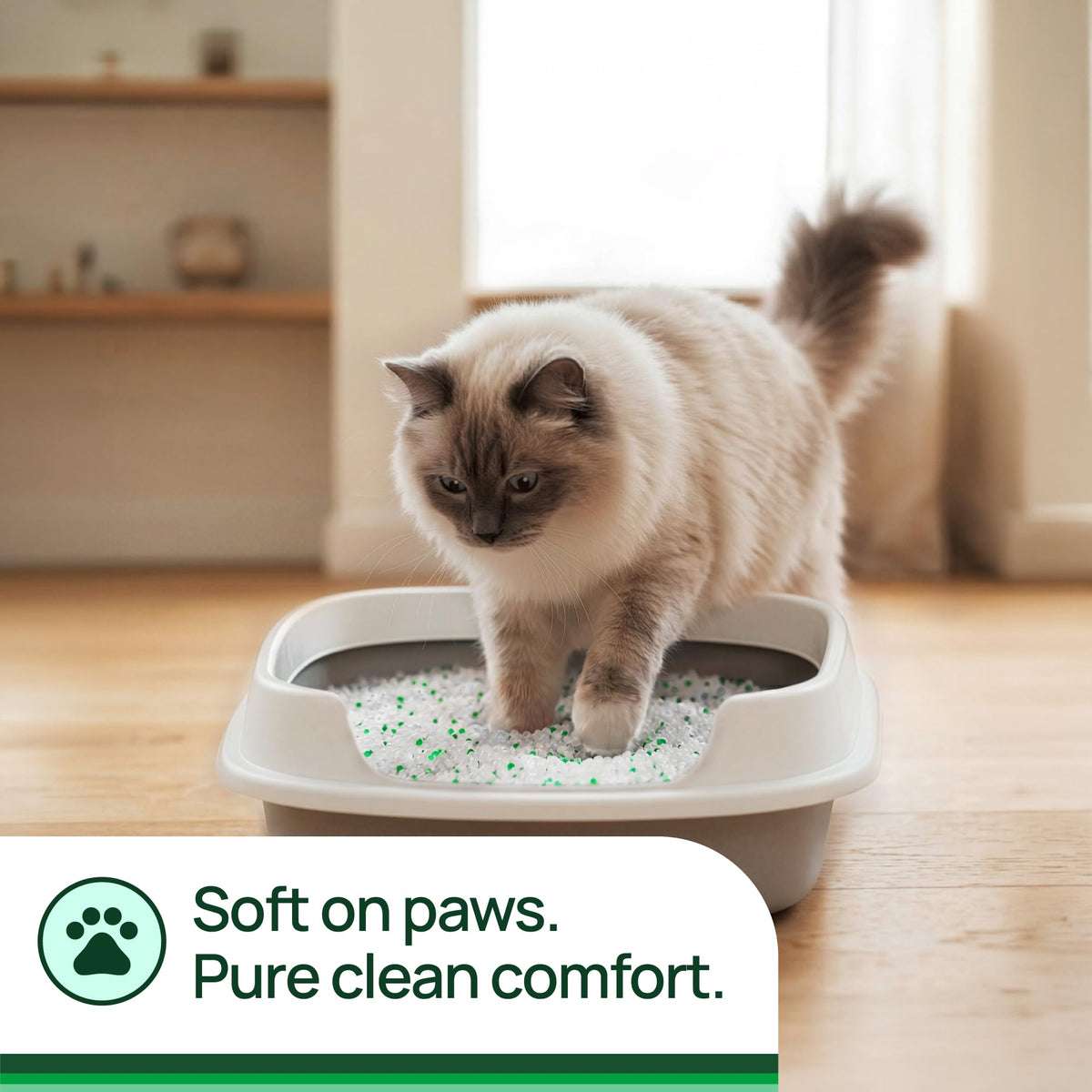 Unscented Non-Clumping Crystal Cat Litter, 7 lb Z2349