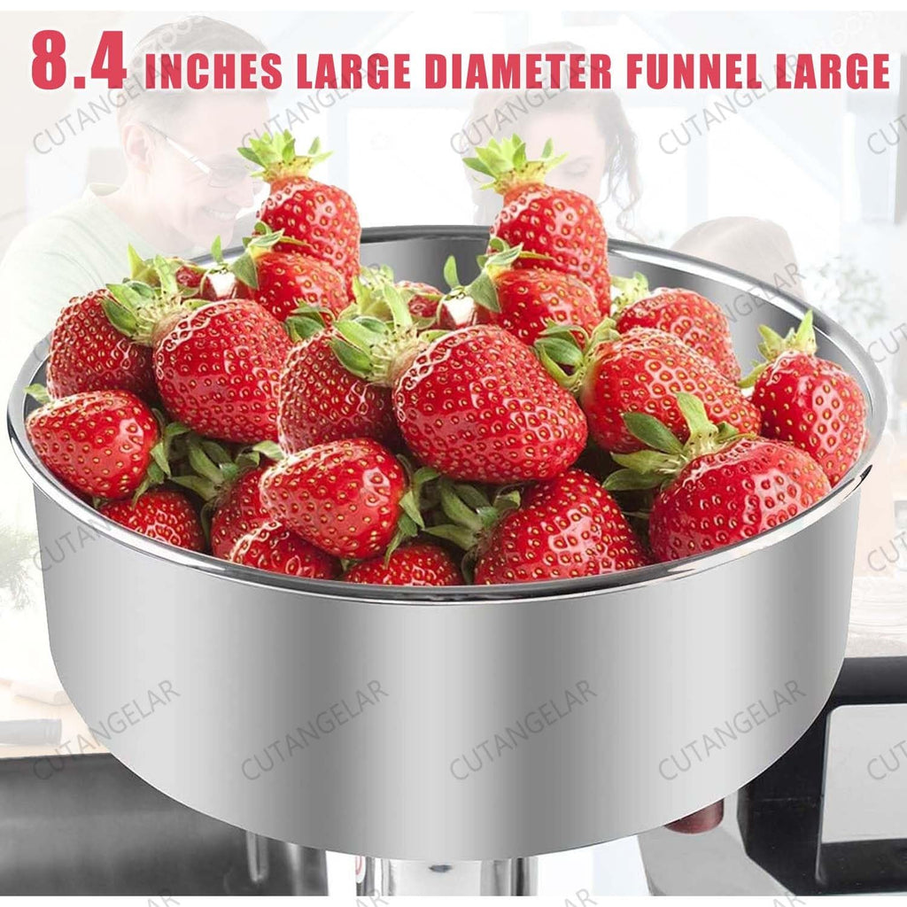450W Stainless Steel Electric Juicer H79595