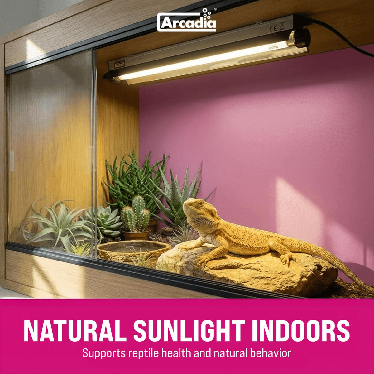 24" 24 Watts 14% UVB Reptile Light Fixture Kit Q193501