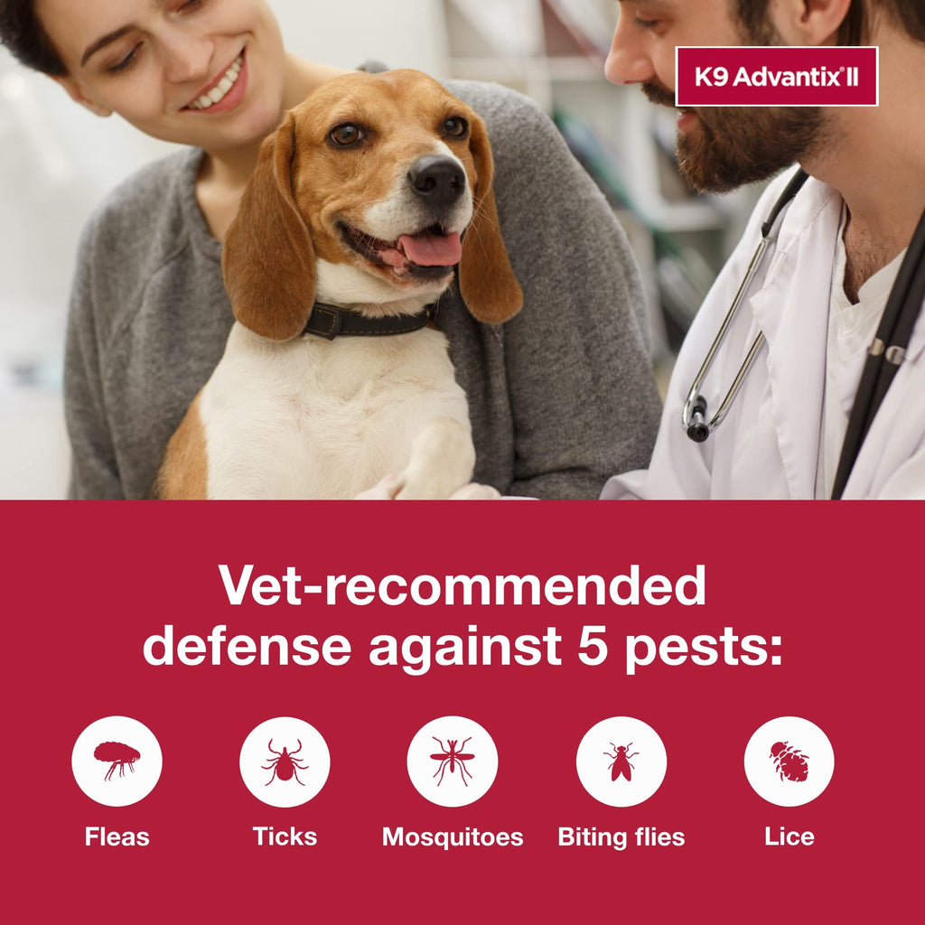 Small Dog Flea and Tick Treatment 6-Mo Supply + Omega 3 Supplement 60 Capsules J99432