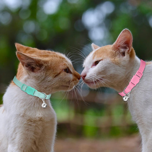 16 PCS Breakaway Cat Collars with Bell H906