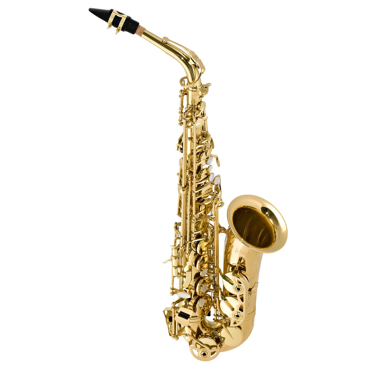 Alto Saxophone Outfit H8433