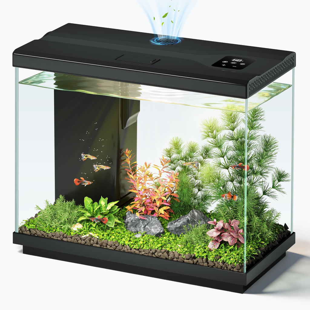 2.2 Gallon Small Black Fish Tank J24641