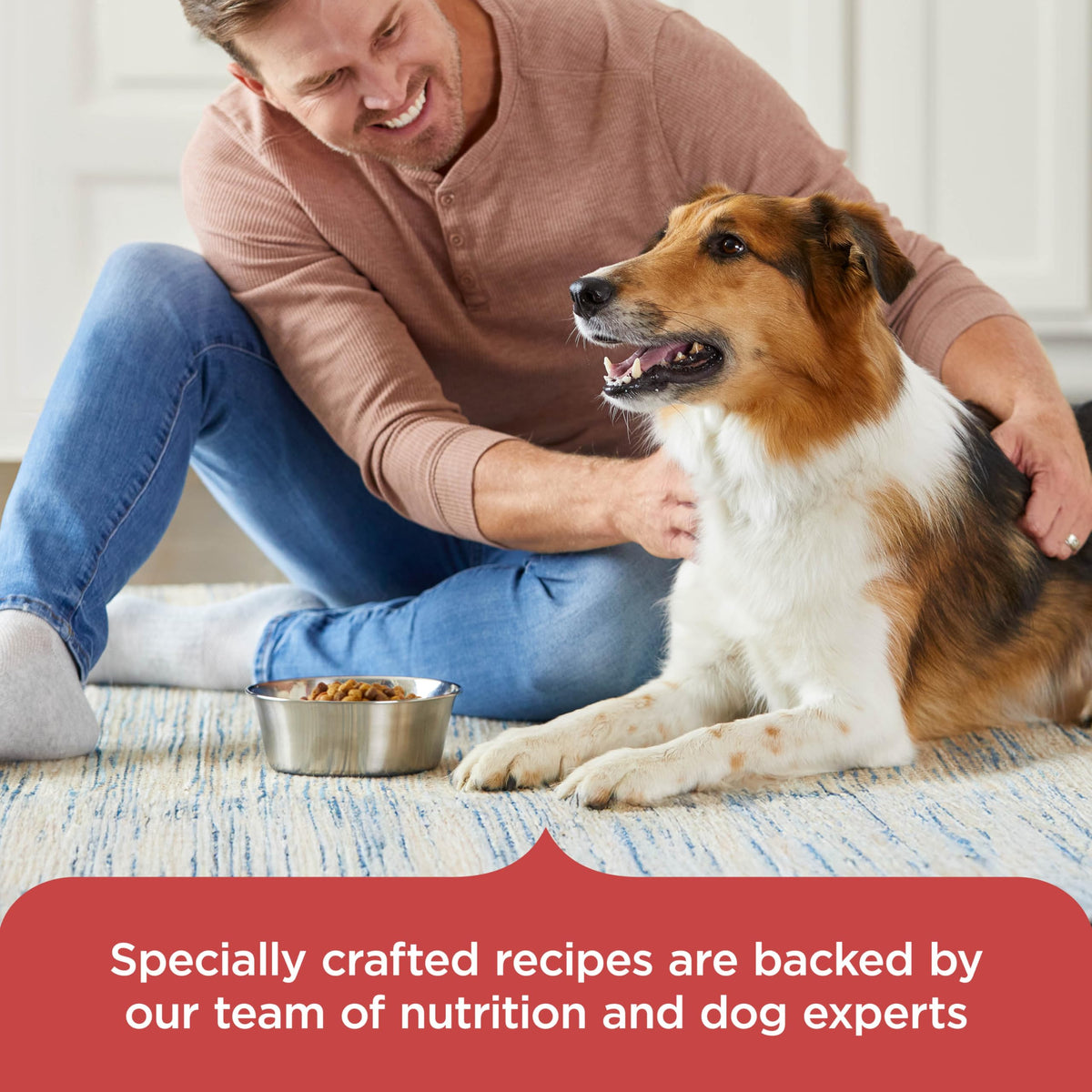 Salmon Dry Dog Food 26 lb. Bag D748783