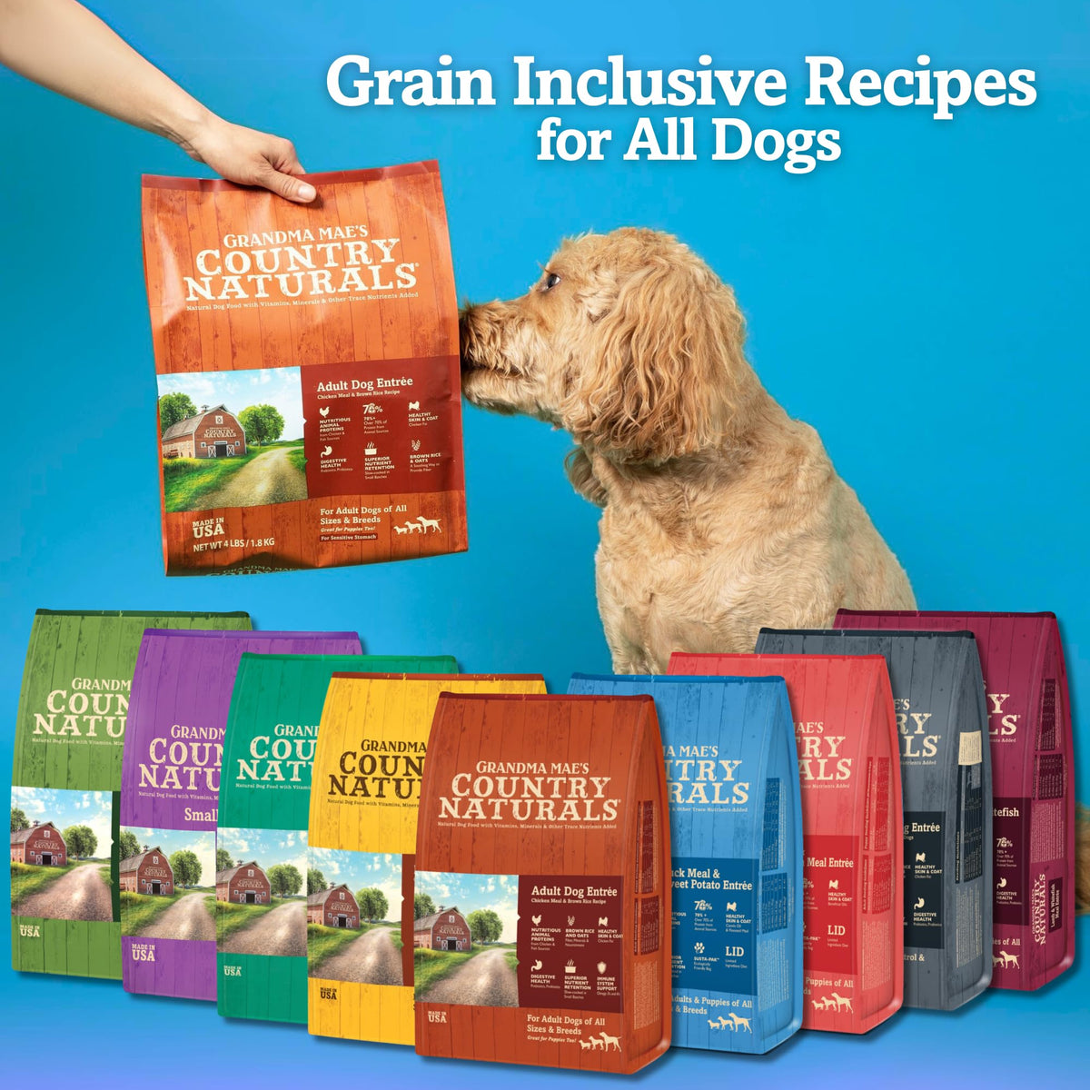 Chicken & Brown Rice Dry Dog Food 26 LB Bag S819