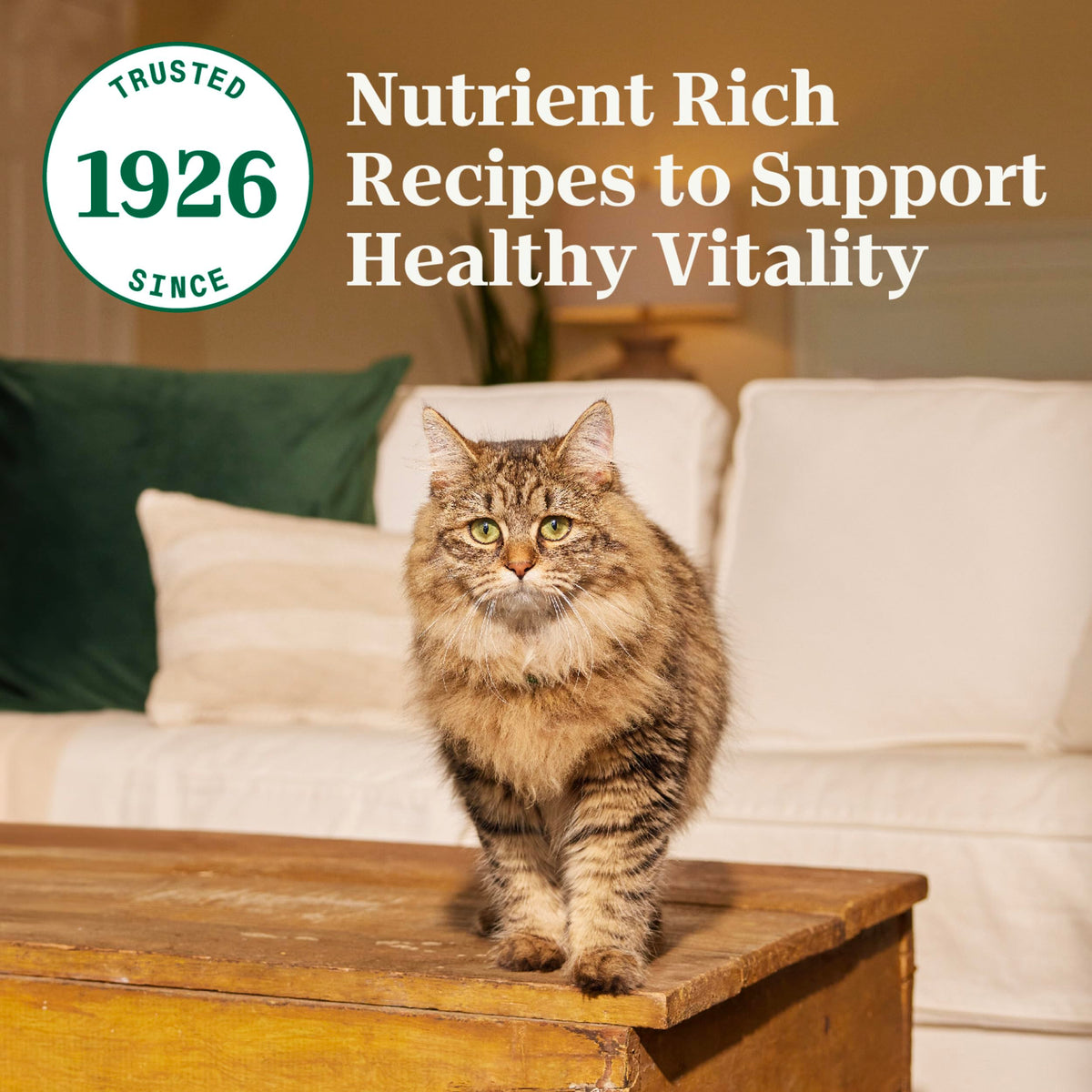 Adult Dry Cat Food Chicken & Brown Rice 5 lb V540