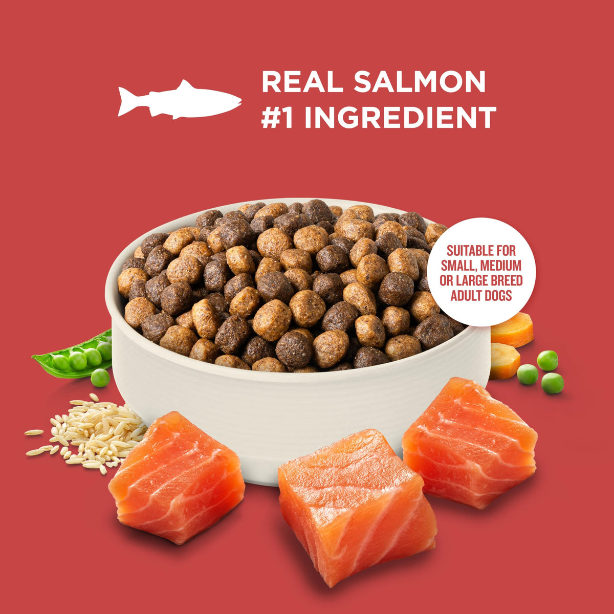 Salmon Dry Dog Food 26 lb. Bag D748783