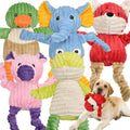 5 Pack Stuffed Squeaky Plush Dog Toys Z5043