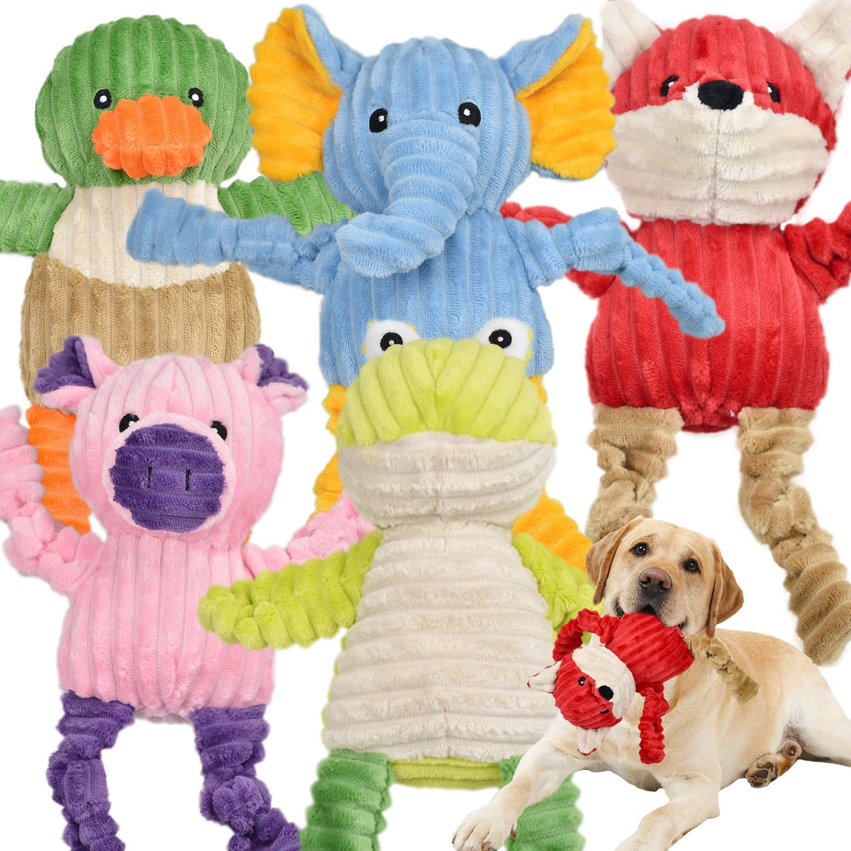 5 Pack Stuffed Squeaky Plush Dog Toys Z5043