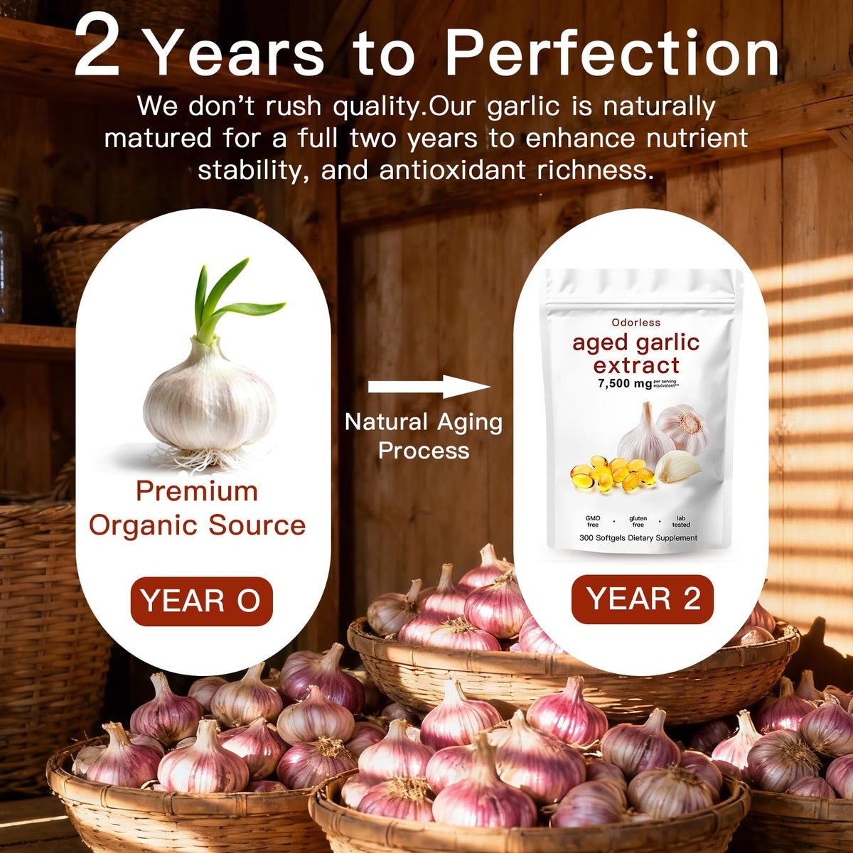Odorless Organic Aged Garlic Extract Capsules Y604405