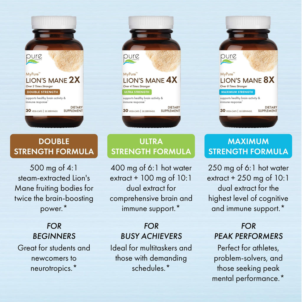 Lion's Mane Brain Support Supplement 30 Capsules N82765