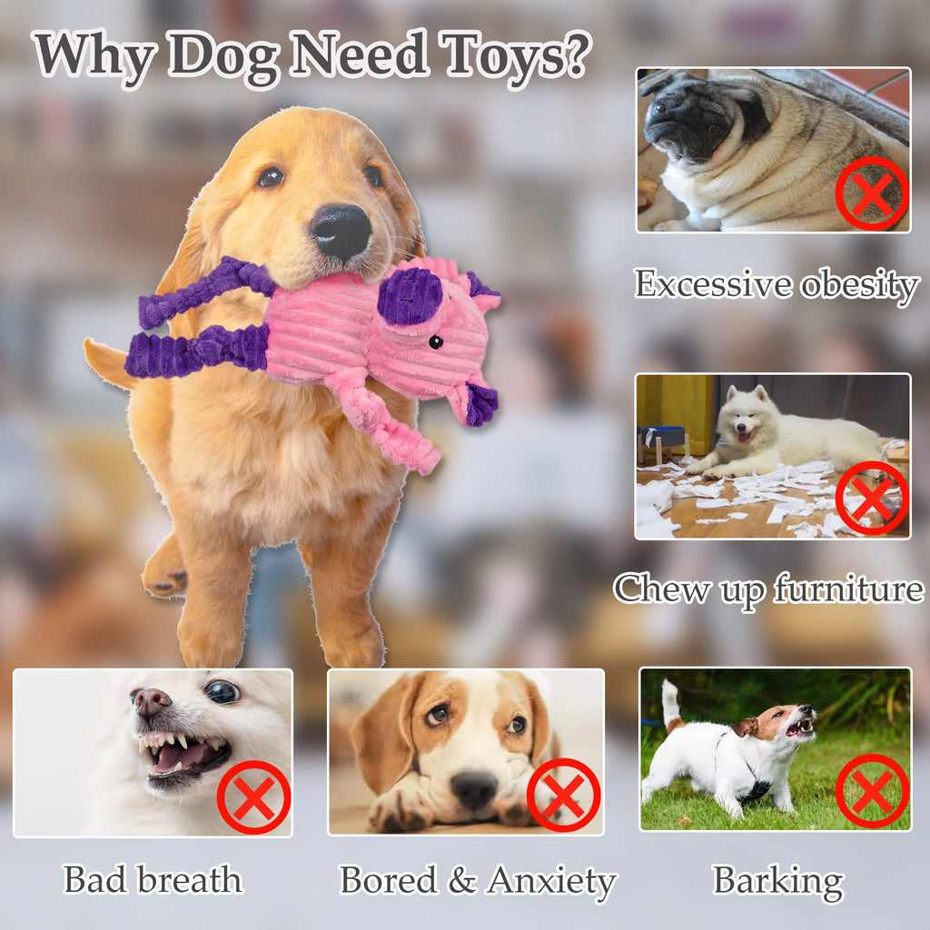 5 Pack Stuffed Squeaky Plush Dog Toys Z5043