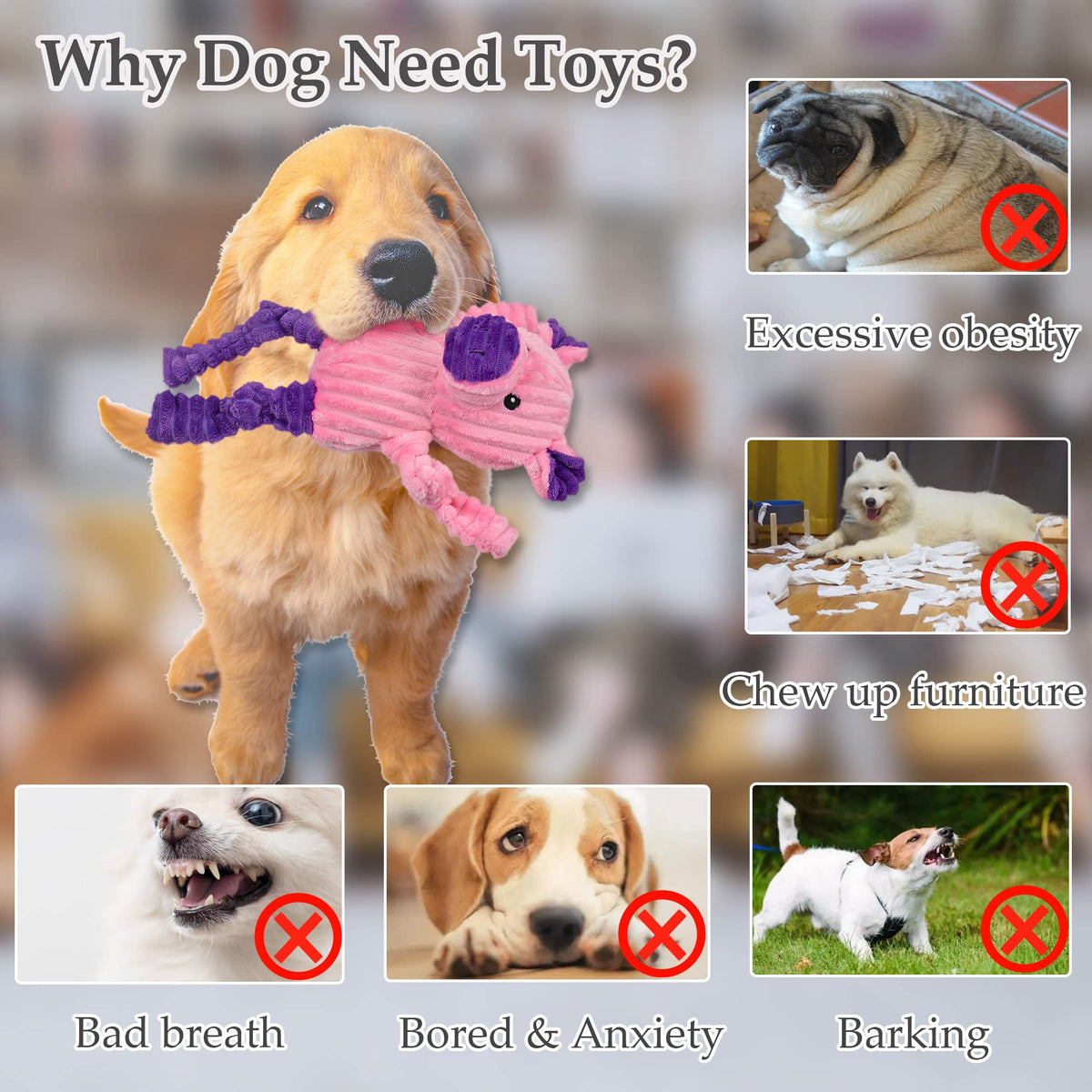 5 Pack Stuffed Squeaky Plush Dog Toys Z5043