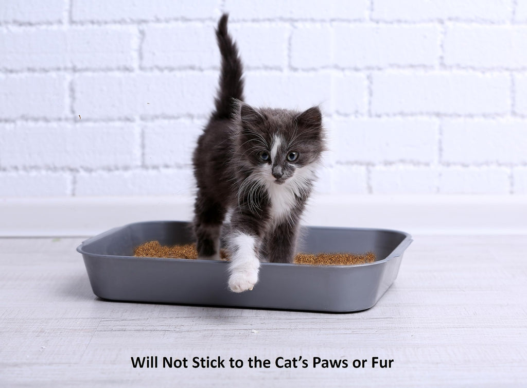 2.2 Lb Activated Charcoal Cat Litter Deodorizer J6895