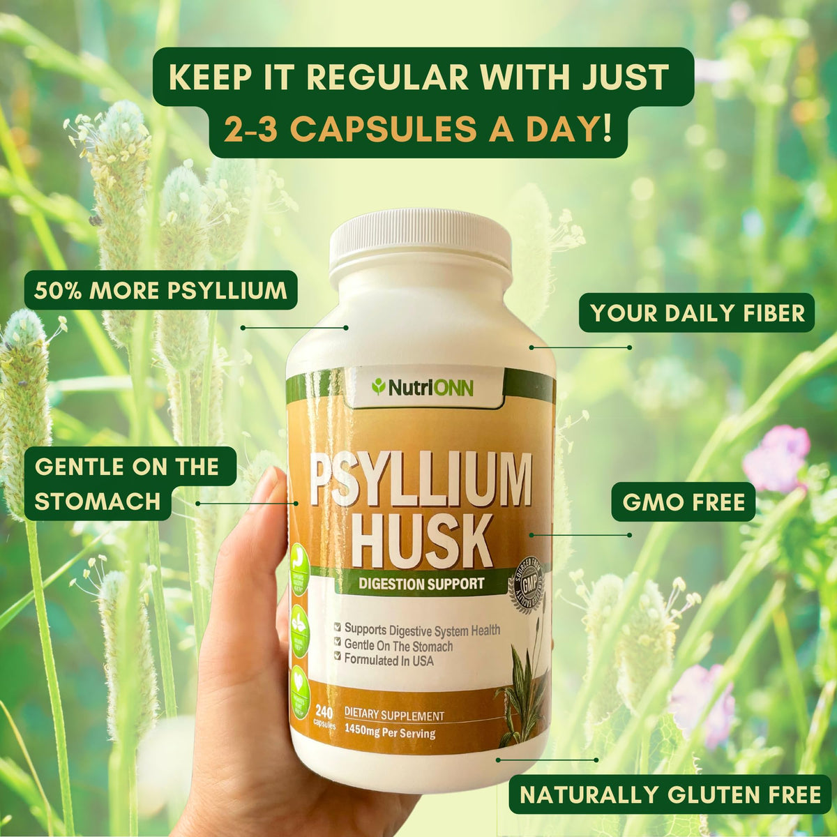 1450mg 240 Capsules Psyllium Husk Fiber Supplement K1493